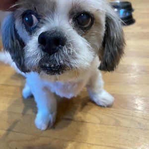 Meet your Posher, Valerie